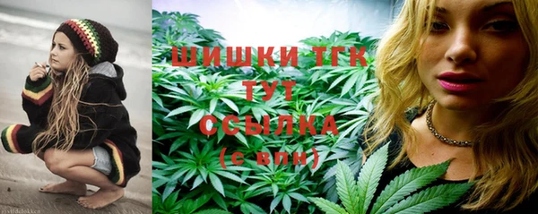 spice Осинники