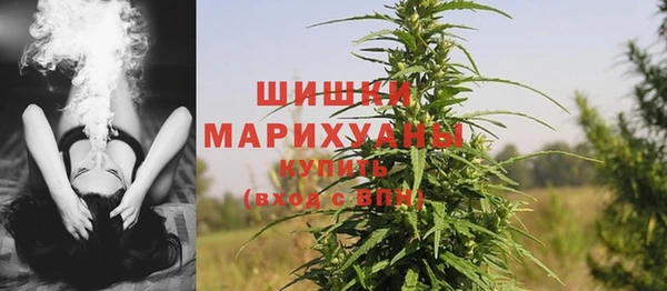 spice Осинники