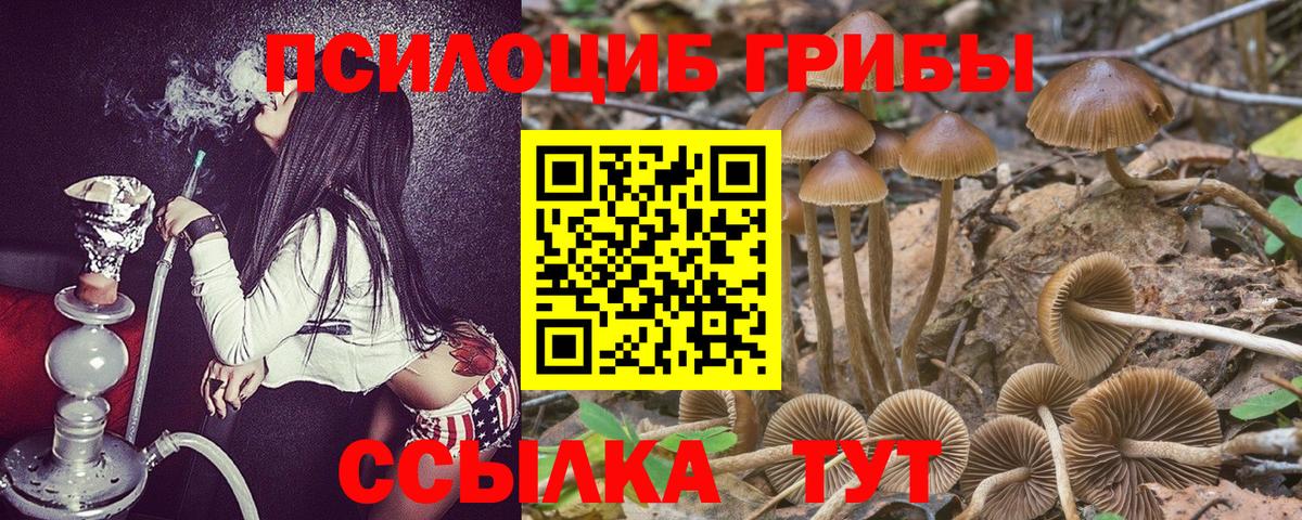 Галлюциногенные грибы GOLDEN TEACHER Кандалакша