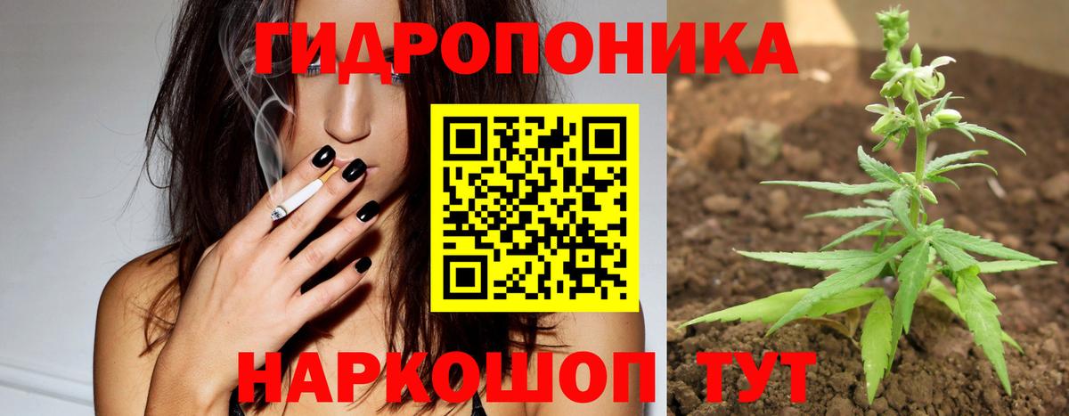 Бошки марихуана план  Канабис SATIVA & INDICA  Кандалакша  Вход с VPN 